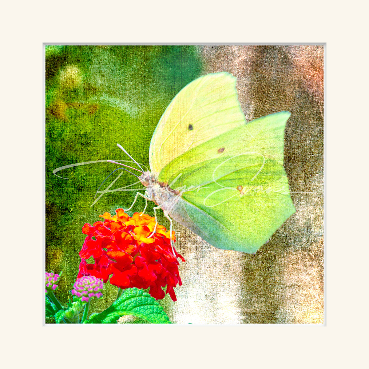 “Brimstone”