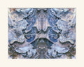 Cranial Oyster