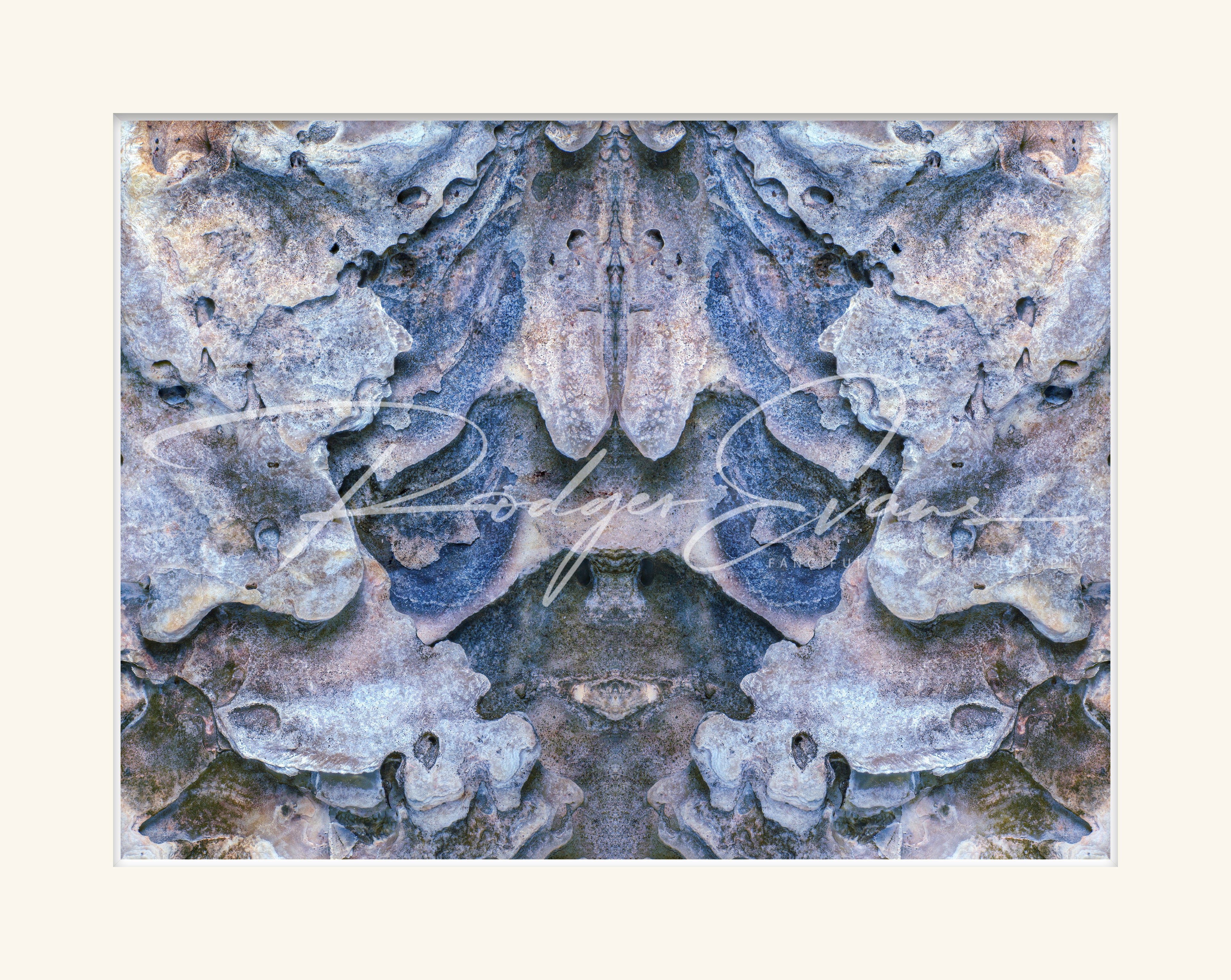 Cranial Oyster