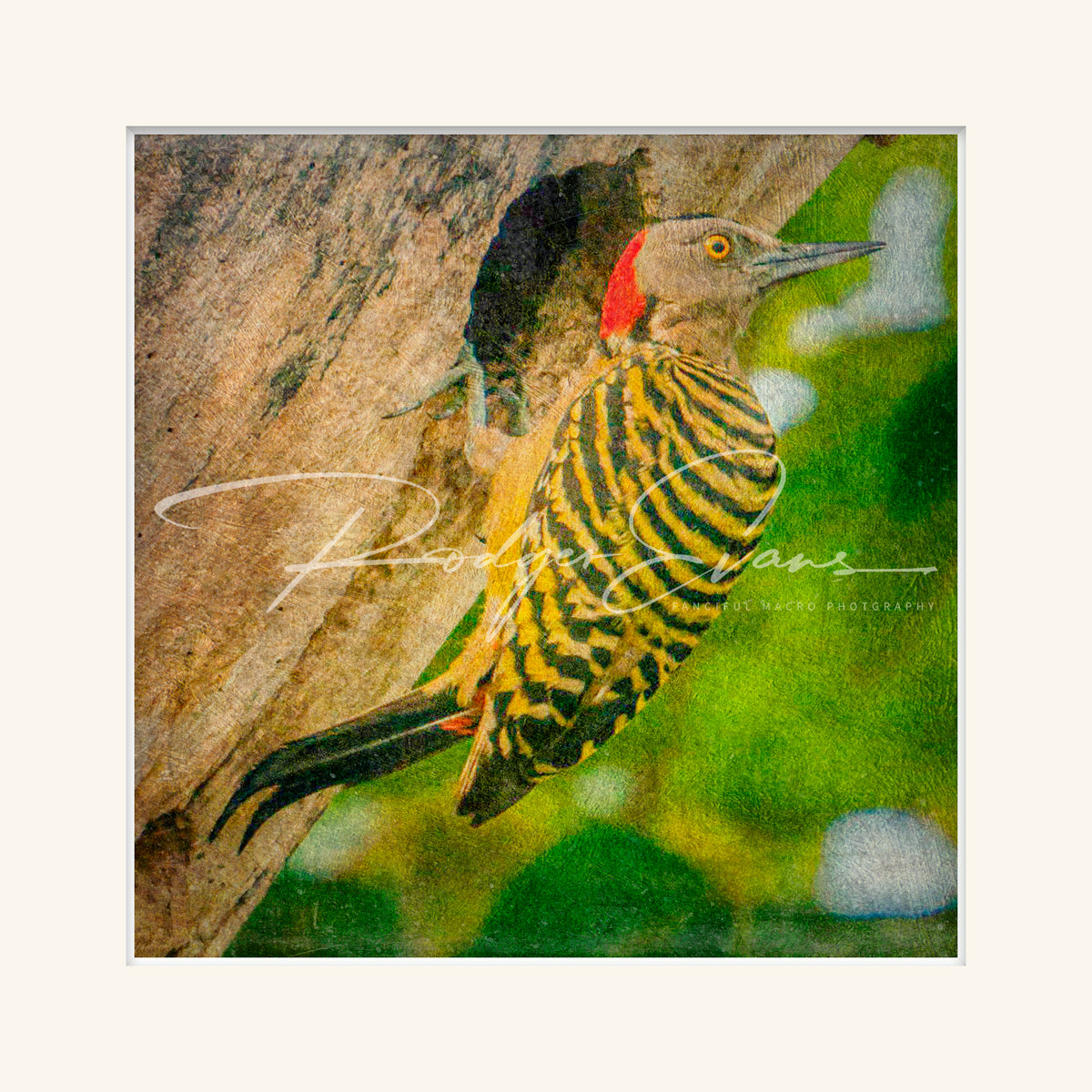 “Flicker”