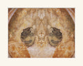 Inner (Oyster) Reflection