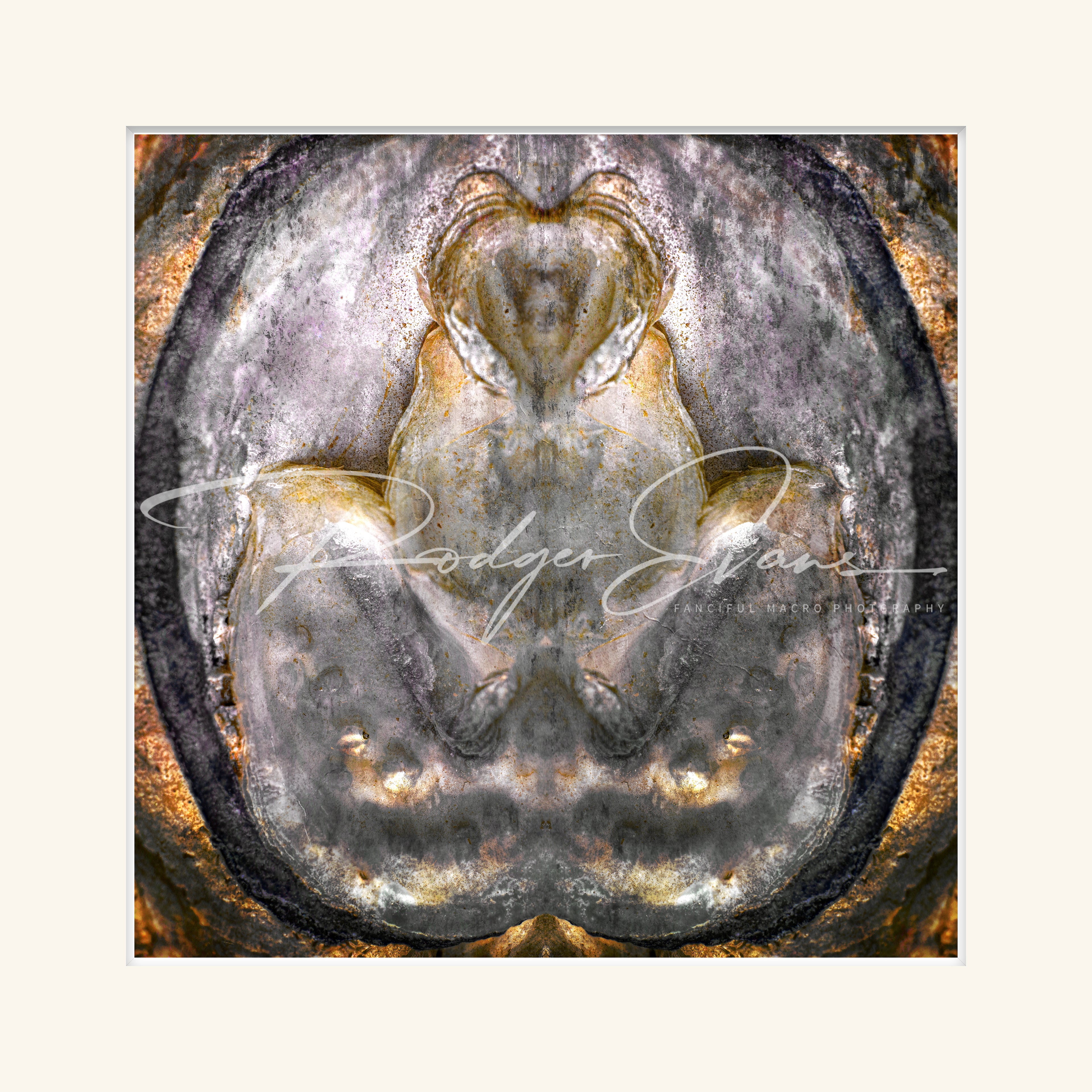 “Oysters on the Half Shell”
