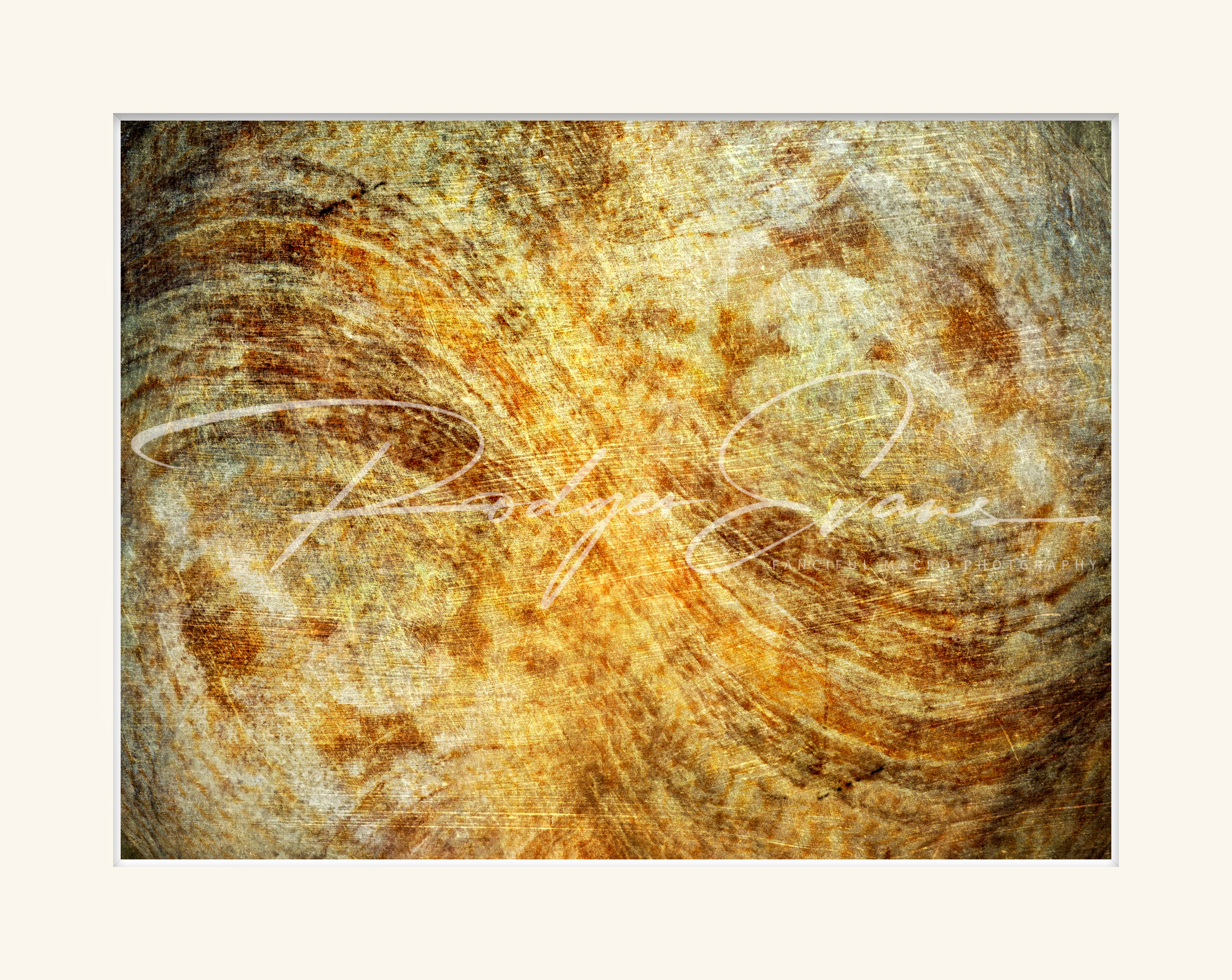 Sine Wave