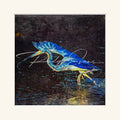 “Tri-coloured Heron”