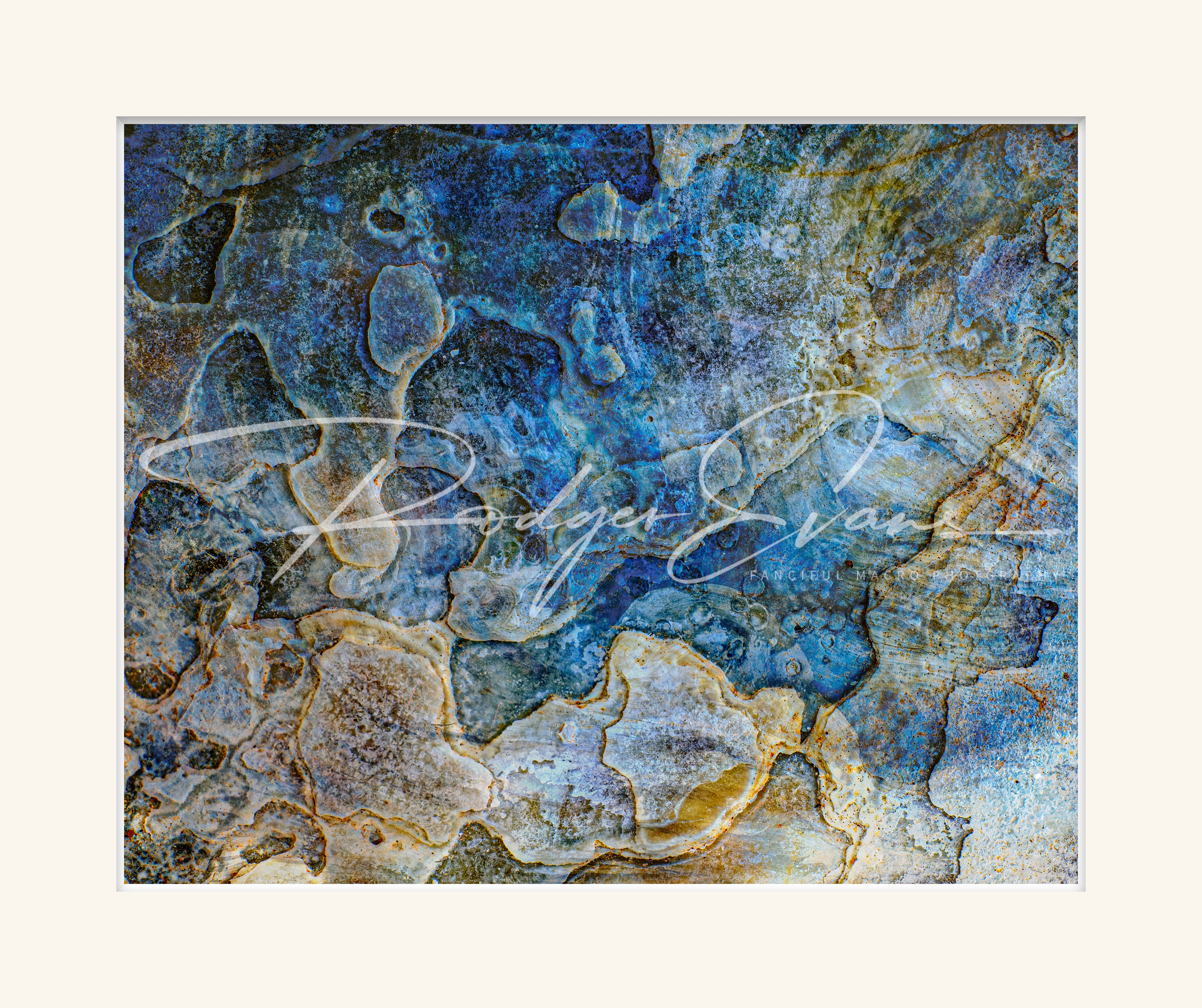 Vernal Pools