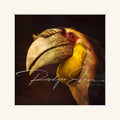 “Wreathed Hornbill"