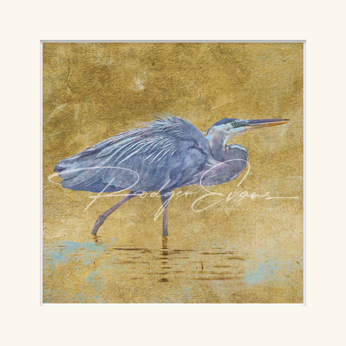 “Great Blue Heron”